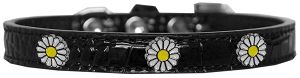 White Daisy Widget Croc Dog Collar (size: Black Size 10)