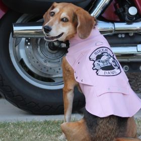 Biker Dawg (Color: Pink, size: X-Small)